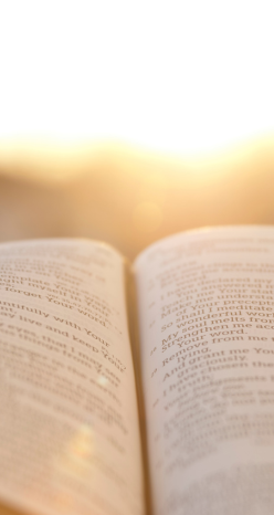 Fr. Siby's Homilies