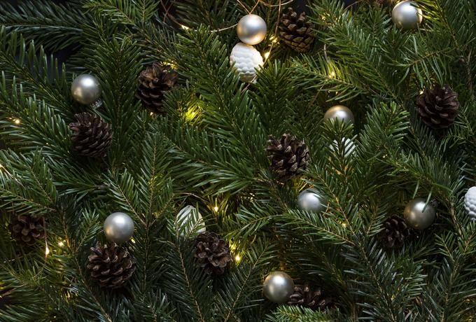 Upcoming Parish Holiday Events & Schedule