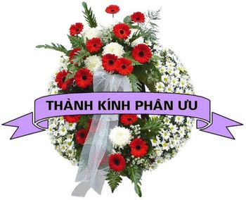 PHÂN ƯU