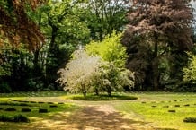 The Gardener & the Image of God: What Gardens Reveal about Human Dignity