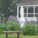 Flowers Donated in Memory of Cathie Gallagher