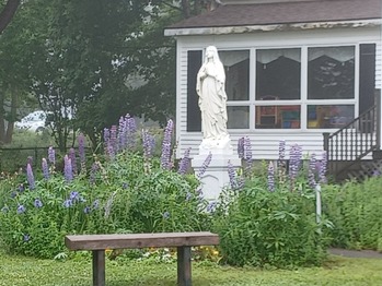 Flowers Donated in Memory of Cathie Gallagher