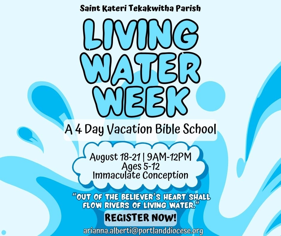 VBS Promotion Poster