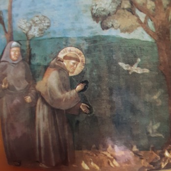 Blessing of the Animals