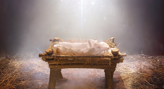 This Christmas, focus on being good ‘soil’