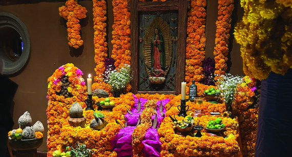 An encounter with Día de Muertos: faith and remembrance among marigolds and monarchs