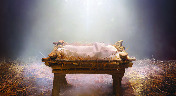 This Christmas, focus on being good ‘soil’