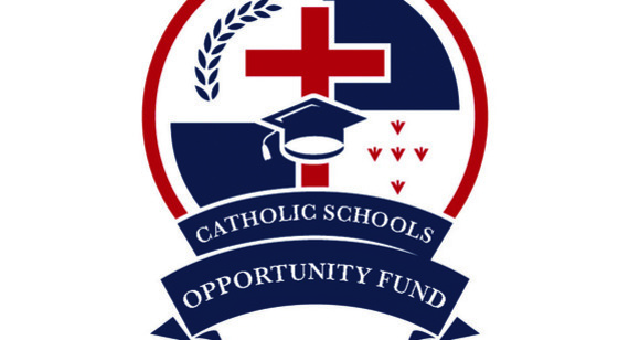 Good year for school tax credit program