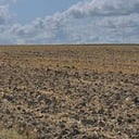 Homily for November 16, 2025