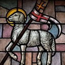 Homily for May 4, 2025