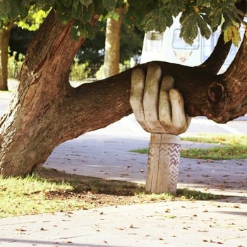 Homily for October 19, 2025