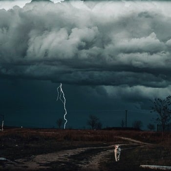 Homily for November 30, 2025