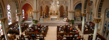 Something New Every Time