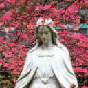 Solemnity of Mary Mass Schedules