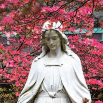 Solemnity of Mary Mass Schedules