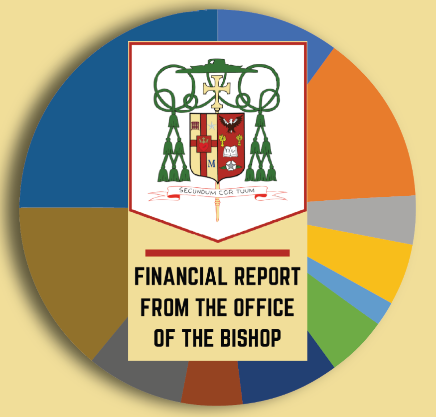 Annual Audit of the Diocese