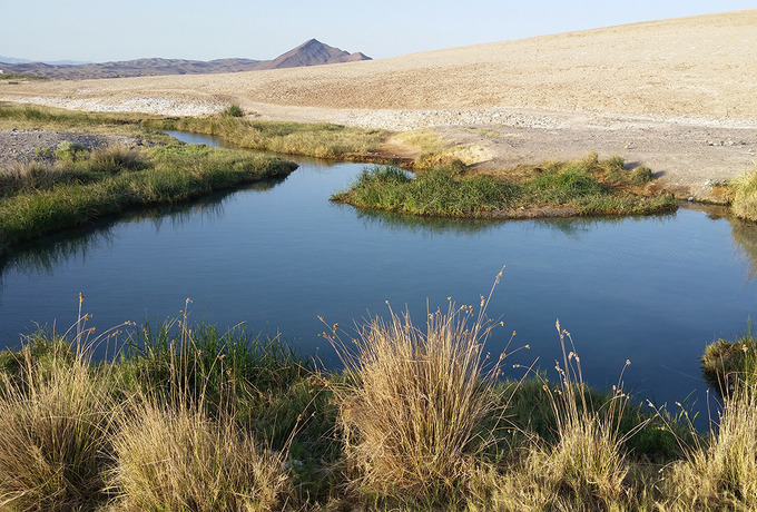 Rejoicing in the Parched Land