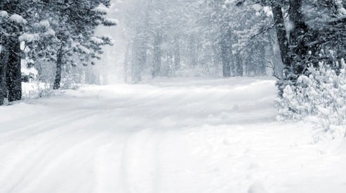 Parish Closed - Monday, January 26