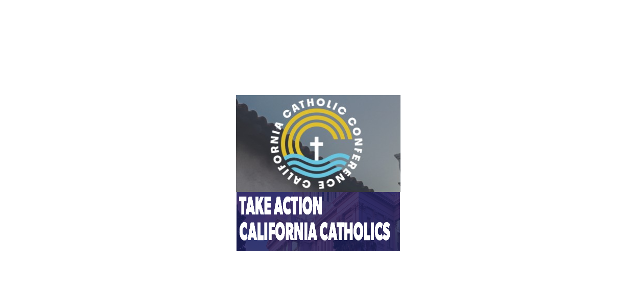 Catholic Legislative Network