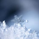 PARISH OFFICE CLOSED JAN. 19TH