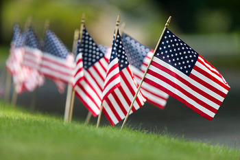 VETERANS DAY FLAGS