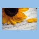 Maine Catholic Schools Choir Festival