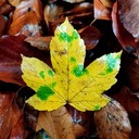 November Safe Environment Compliance Workshops