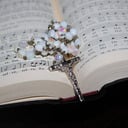 Winter / Spring Rosary at MQS