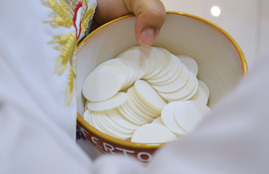 Wednesday Night Lenten Masses with Guest Priests