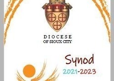 Synodal Listening Session