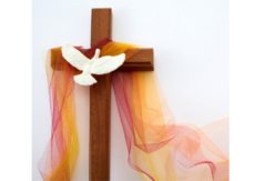 Confirmation-Mater Dei Parish