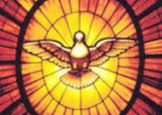 Confirmation-Our Lady of Guadalupe Parish