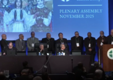Cardinal Timothy Dolan spoke about TPMS-USA to the USCCB