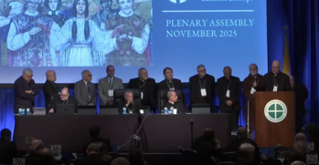 Cardinal Timothy Dolan spoke about TPMS-USA to the USCCB