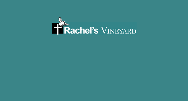 Rachel's Vineyard 
