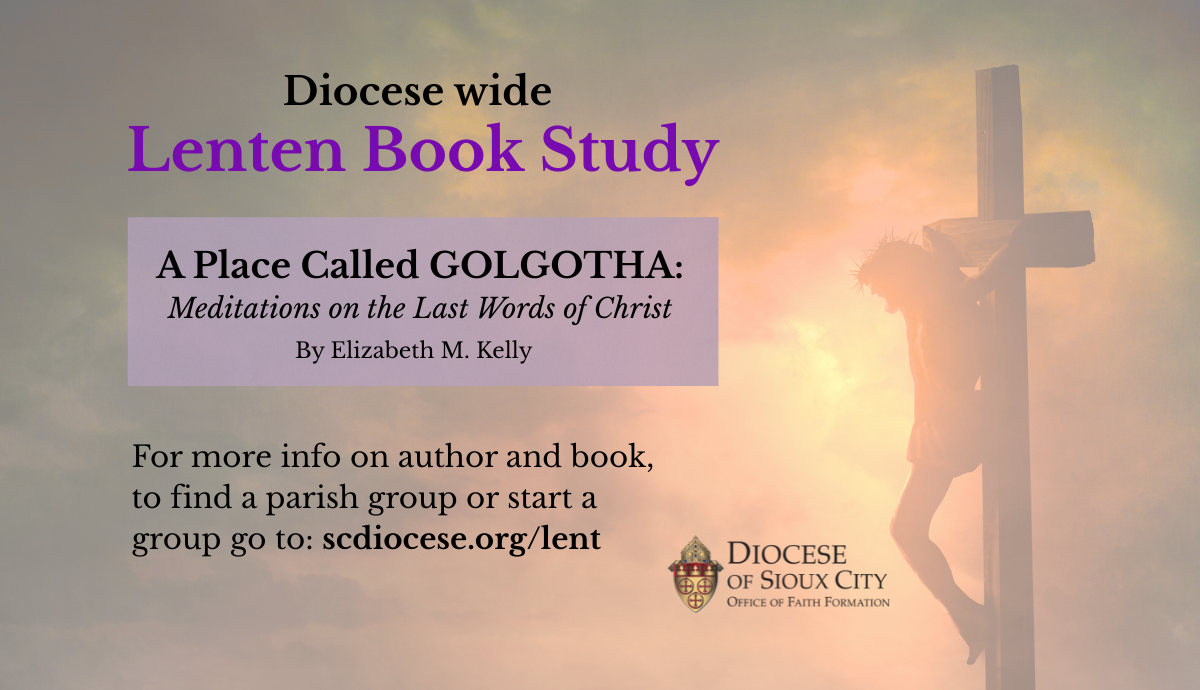 Diocese Wide Lenten Book Study Launched