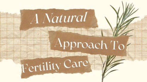 Free Webinar - A Natural Approach to Fertility Care