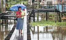 South America’s Amazon: Culturally diverse, globally important