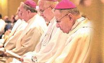 Report from the U.S. bishops’ November meeting