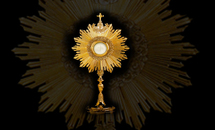 Extraordinary ministers of holy Communion delegated