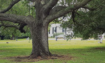 Young adult retreat: Gift of ‘slowing down’