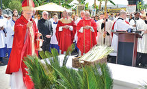 Holy Week liturgy schedules for CBD churches