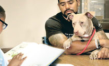 Immaculate Conception partners with SPCA for novel program