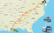 New Orleans to Washington D.C.