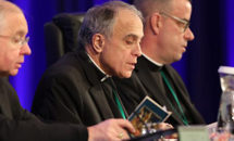Vatican asks U.S. bishops to delay abuse vote