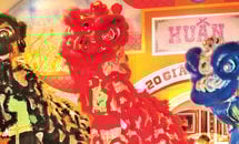 Vietnamese Catholics to celebrate Year of the Dog