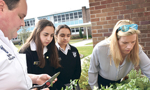 Herbs will be used at Dominican and Ye Olde College Inn