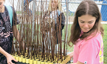St. Matthew the Apostle students enlarge ‘green footprint’ at Spillway