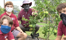 Christian Brothers’ City Park garden cultivates green thumbs