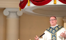Bishop Barron: 'Shadow boxing' around moral issues